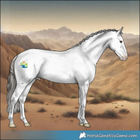 Horse Color:Liver Chestnut Sabino