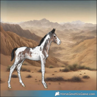 Horse Color:Brown Sabino Tobiano