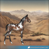 Horse Color:White Spotted Brown 
