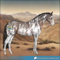 Horse Color:Liver Chestnut Sabino