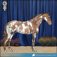 Horse Color:White Spotted Black Pearl 