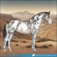 Horse Color:White Spotted Buckskin Sabino 