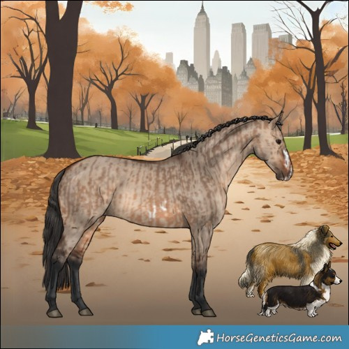 Horse Color:Brown Dun Rabicano and Brown Dun Frame Rabicano