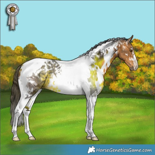 Horse Color:White Spotted Buckskin Tobiano 