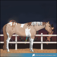 Horse Color:Red Dun Tobiano Varnish