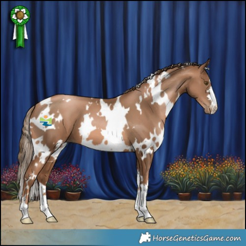 Horse Color:White Spotted Liver Chestnut Pearl 