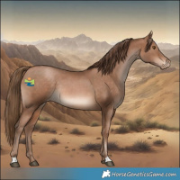 Horse Color:Brown Snowdrop Pearl Appaloosa Rabicano