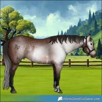 Horse Color:Gray Bay Sabino Rabicano  and Gray Bay Sabino Rabicano 