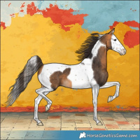 Horse Color:Buckskin Splash Tobiano 