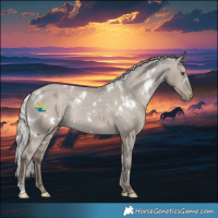 Horse Color:White Spotted Silver Grullo Appaloosa Rabicano 