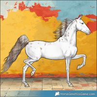 Horse Color:Red Roan Splash Leopard