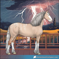 Horse Color:Powder White Silver Sable Champagne Dun Splash Appaloosa