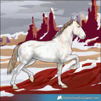 Horse Color:Buckskin Pearl Sabino Appaloosa 