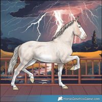 Horse Color:Silver Sable Champagne Roan Dun Splash Frame Appaloosa