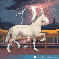 Horse Color:Powder White Silver Sable Champagne Dun Splash Appaloosa 
