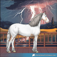 Horse Color:Silver Sable Champagne Dun Splash Appaloosa 