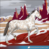Horse Color:Sable Champagne Dun Tobiano Appaloosa 