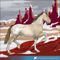 Horse Color:Smoky Grullo Pearl Tobiano Appaloosa 
