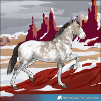 Horse Color:Brown Dun Sabino Appaloosa 