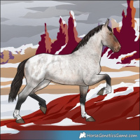 Horse Color:Brown Roan Dun Tobiano Appaloosa 