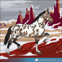 Horse Color:Gray Bay Dun Tobiano Near Leopard 