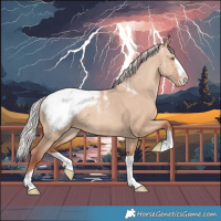 Horse Color:Powder White Silver Sable Champagne Dun Splash Appaloosa