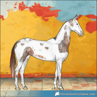 Horse Color:Painted Brown Ice Splash Tobiano 