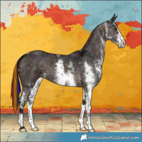 Horse Color:Painted White Spotted Midnight Bay 