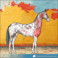 Horse Color:Painted Blue Onyx Ice Tobiano Appaloosa 