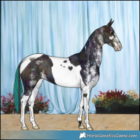 Horse Color:Painted White Spotted Midnight Bay Ice Tobiano 