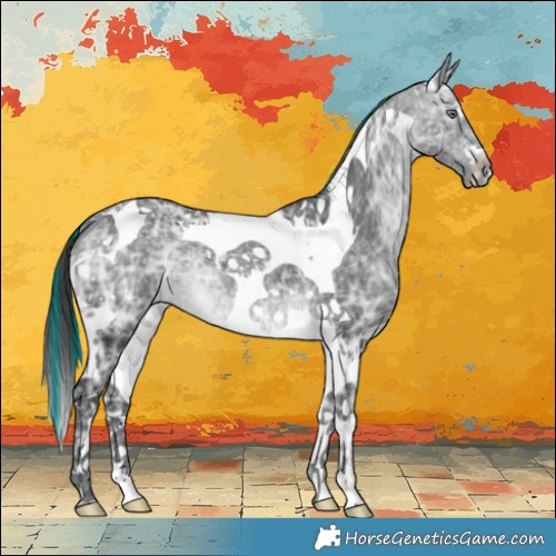 Horse Color:Painted Brown Chinchilla Ice Tobiano 