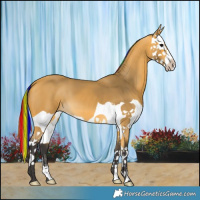 Horse Color:Painted Buckskin Splash 