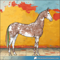 Horse Color:Painted White Spotted Chestnut Ice Splash 