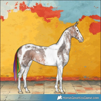 Horse Color:Painted White Spotted Bay Ice Splash Tobiano 
