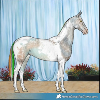 Horse Color:Painted Amber Champagne Ice Tobiano 