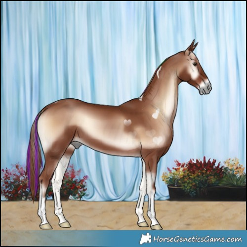 Horse Color:Painted Red Onyx