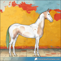 Horse Color:Painted Bay Pearl Onyx Sabino Splash Tobiano 