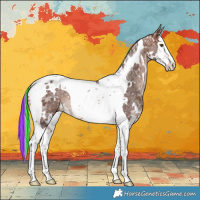 Horse Color:Painted White Spotted Silver Brown Ice Splash Tobiano 
