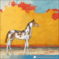Horse Color:Painted White Spotted Buckskin Tobiano 