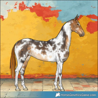 Horse Color:Painted White Spotted Buckskin Tobiano 