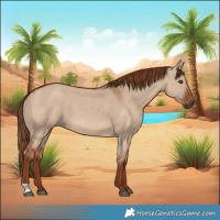 Horse Color:Red Dun 