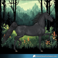 Horse Color:Black Rabicano 