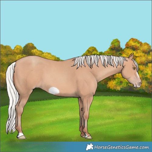 Horse Color:Silver Amber Champagne Frame