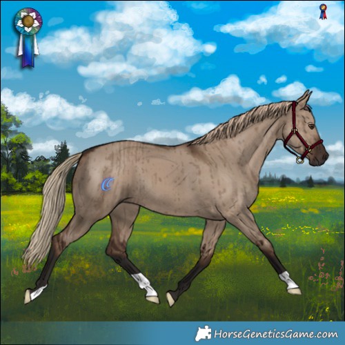 Horse Color:Liver Red Dun Brindle 