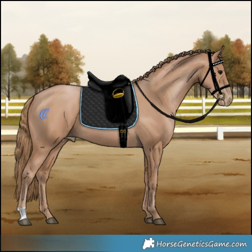 Horse Color:Black Pearl 
