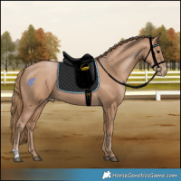 Horse Color:Black Pearl 