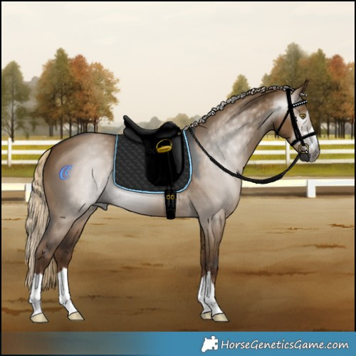 Horse Color:Gray Chocolate Palomino Dun 