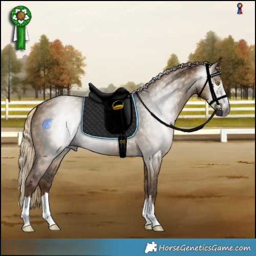 Horse Color:Gray Chocolate Palomino Dun 