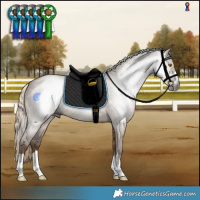 Horse Color:Gray Chocolate Palomino Dun 