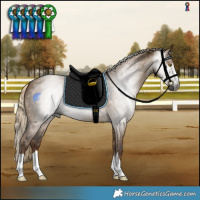 Horse Color:Gray Chocolate Palomino Dun 